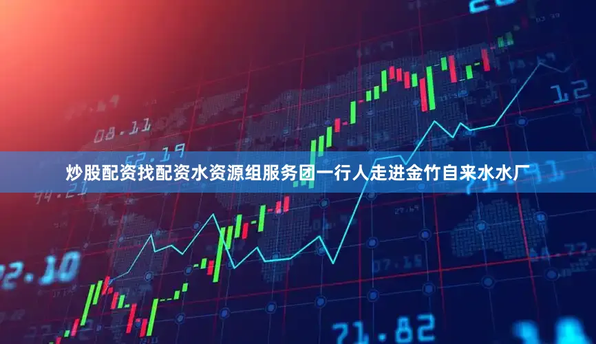 炒股配资找配资水资源组服务团一行人走进金竹自来水水厂