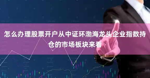 怎么办理股票开户从中证环渤海龙头企业指数持仓的市场板块来看