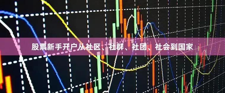 股票新手开户从社区、社群、社团、社会到国家