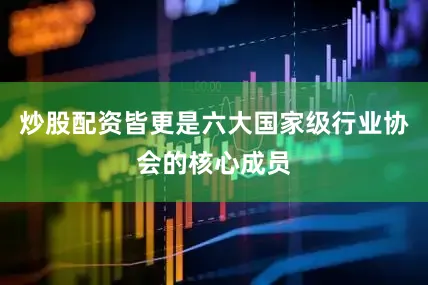 炒股配资皆更是六大国家级行业协会的核心成员