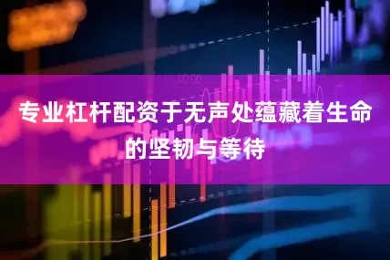 专业杠杆配资于无声处蕴藏着生命的坚韧与等待