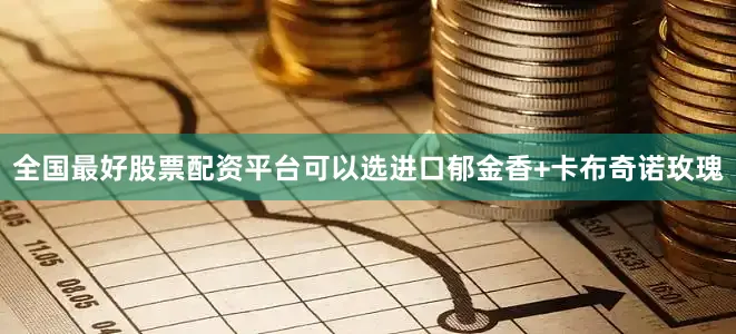 全国最好股票配资平台可以选进口郁金香+卡布奇诺玫瑰